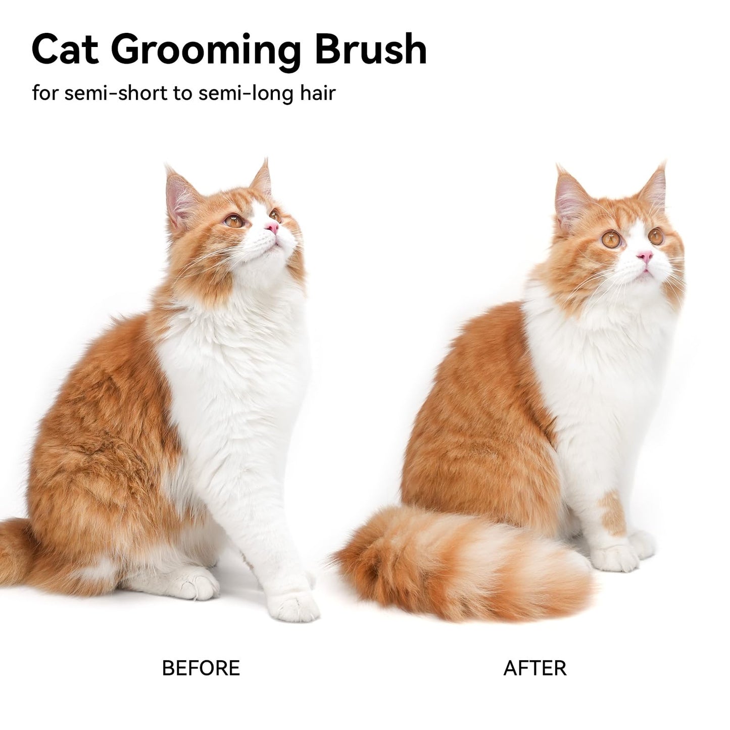 Aumuca Cat Brush for Shedding – Pet Grooming Comb