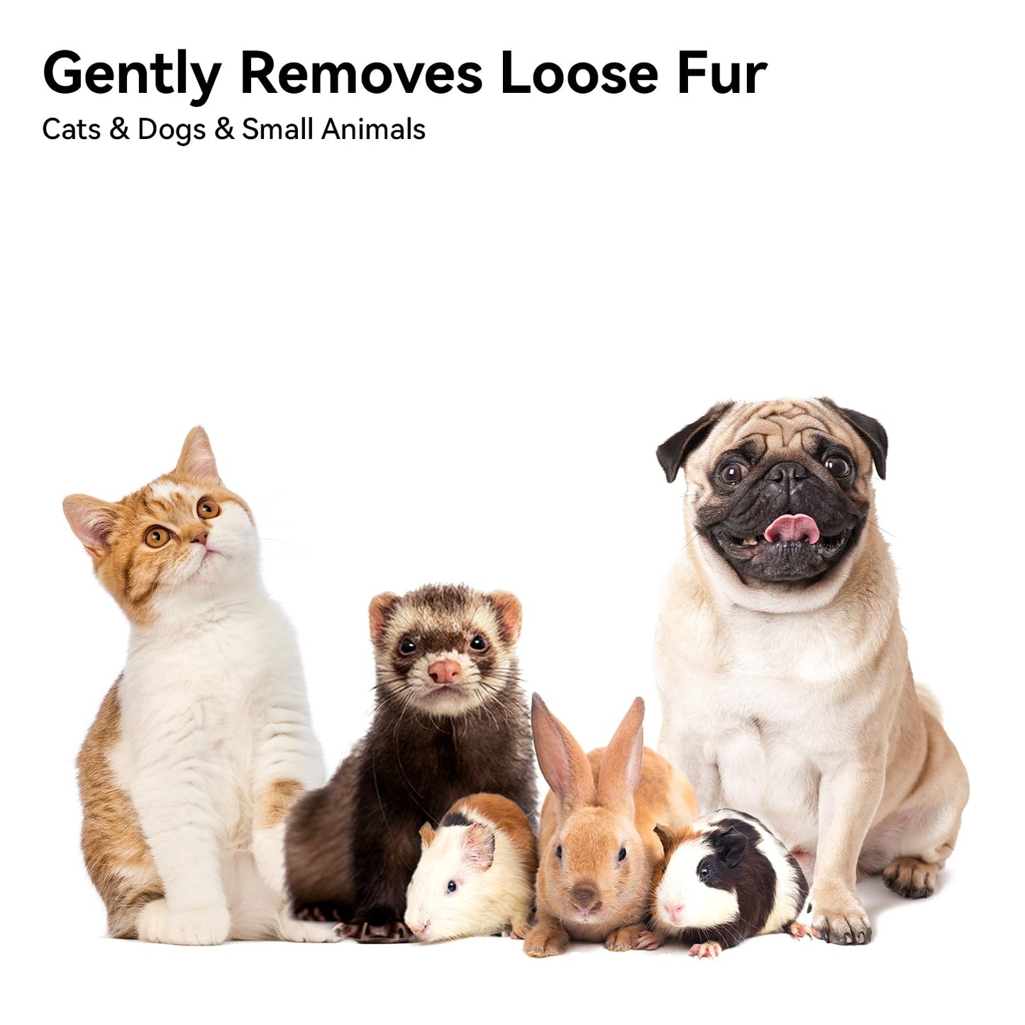 Aumuca Cat Brush for Shedding – Pet Grooming Comb